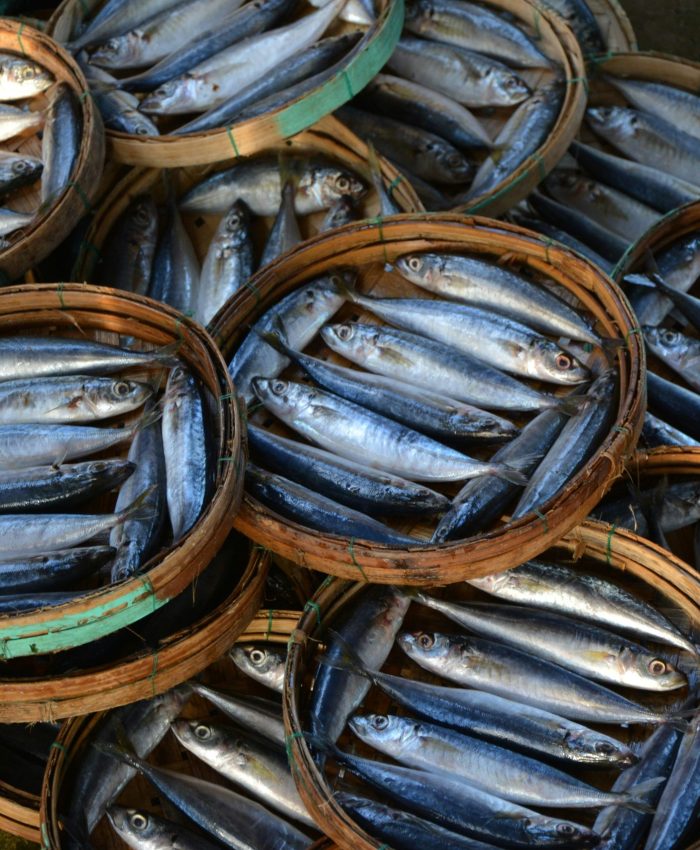 Novo Aviso MAR 2030 apoia transformação e inovação na fileira das pescas e aquicultura