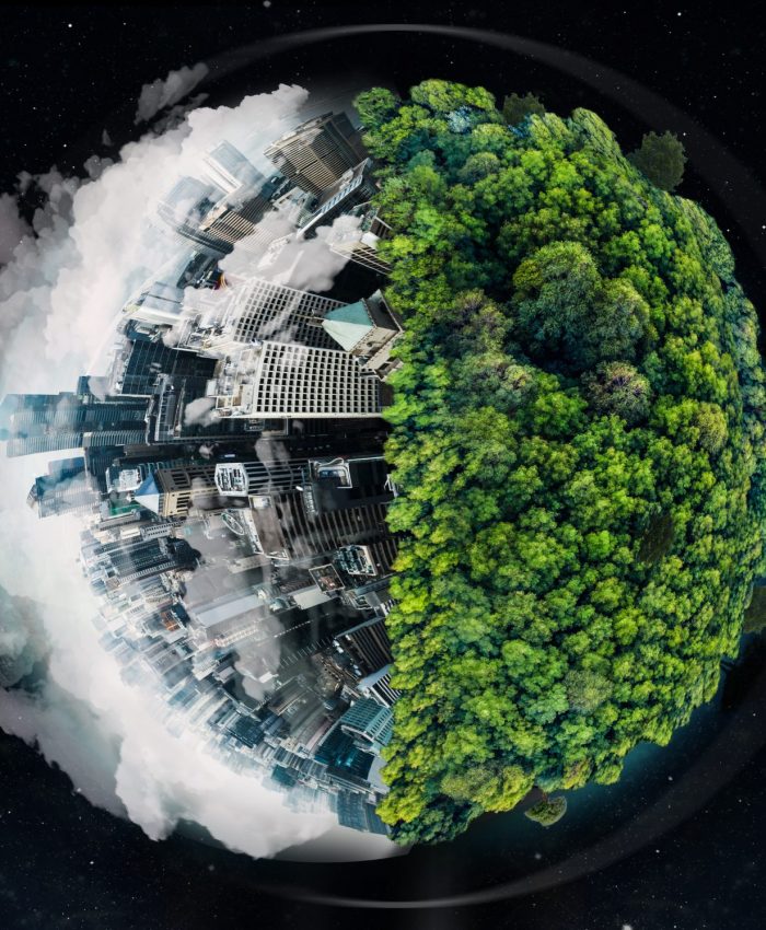 World, city buildings or forest in globalization crisis, climate change awareness or pollution environment security on black background. Globe, environment day or abstract urban trees on night mockup.
